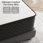 MOLPHIT 10-Inch Double Innerspring Memory Foam Mattress