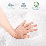 TeQsli 10-Inch Double Gel Memory Foam Mattress