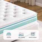 TeQsli 10-Inch Double Gel Memory Foam Mattress