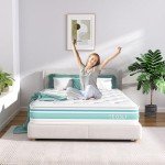 TeQsli 10-Inch Double Gel Memory Foam Mattress