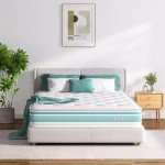 TeQsli 10-Inch Double Gel Memory Foam Mattress
