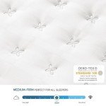 TeQsli 10-Inch Gel Memory Foam Mattress