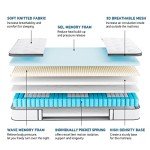 TeQsli 10-Inch Gel Memory Foam Mattress