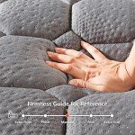 Vesgantti 10 Inch Hybrid Double Mattress, Grey