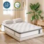 TeQsli 10-Inch Gel Memory Foam Mattress