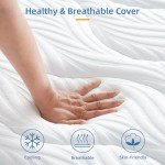 Vesgantti 10.2 Inch Hybrid Double Mattress