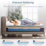 Vesgantti 10.2 Inch Hybrid Double Mattress