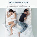Molblly 4FT6 Hybrid Pocket Sprung Mattress