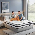 Inofia 10-Inch Hybrid Memory Foam Mattress