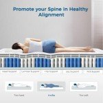 Inofia 25cm Double Memory Foam and Spring Mattress