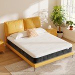 MOLPHIT 10-Inch Double Innerspring Memory Foam Mattress