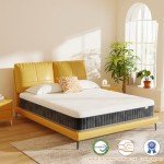 MOLPHIT 10-Inch Double Innerspring Memory Foam Mattress