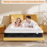 MOLPHIT 10-Inch Double Innerspring Memory Foam Mattress