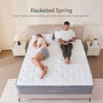 Comfortable 10-Inch Double Hybrid Mattress for Back Pain