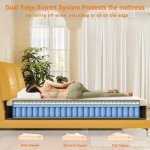 MOLPHIT 10-Inch Double Innerspring Memory Foam Mattress