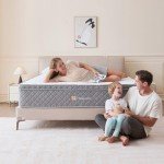 Comfortable 10-Inch Double Hybrid Mattress for Back Pain