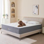 Comfortable 10-Inch Double Hybrid Mattress for Back Pain