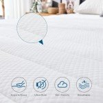 Inofia 10 Inch Double Memory Foam Mattress