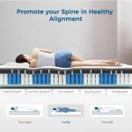 Inofia 10 Inch Double Memory Foam Mattress
