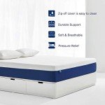Molblly Memory Foam Mattress for Single Bunk Beds