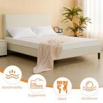 Comfortable Double Memory Foam Mattress with Washable Cover