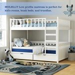Molblly Memory Foam Mattress for Single Bunk Beds