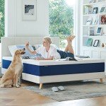 Molblly Memory Foam Mattress for Single Bunk Beds
