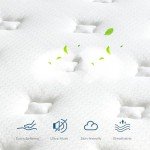 Inofia Memory Foam Double Mattress - 11 Inch
