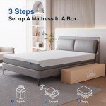 Memory Foam King Mattress with Removable Cover