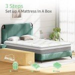 Green Tea Memory Foam Hybrid Mattress - Medium Firm