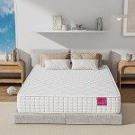 Dosleeps 3FT Single Orthopaedic Pocket Sprung Mattress