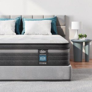TeQsli 10-Inch Pocket Sprung Double Mattress