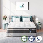 TeQsli 10-Inch Pocket Sprung Double Mattress