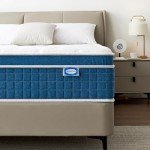 4FT6 Double Memory Foam Mattress for Back Pain