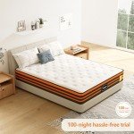 Double Gel Memory Foam Mattress for Bunk Beds