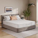 Vesgantti 10” Hybrid Memory Foam Mattress - White