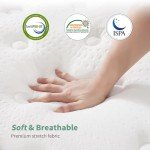 European Double Memory Foam Hybrid Mattress - 12 Inch