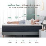European Double Memory Foam Hybrid Mattress - 12 Inch