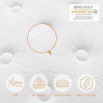 TeQsli 4FT6 Gel Memory Foam Double Mattress