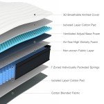 Molblly 8.7 Inch Double Pocket Sprung Mattress