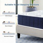 Inofia 9-Inch Double Hybrid Mattress - Comfort Sleeper