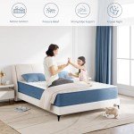 8-Inch Double Pocket Sprung Memory Foam Mattress
