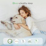 Novilla 8-Inch Medium Firm Pocket Sprung Mattress
