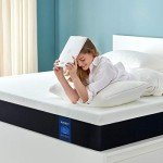 Molblly 15CM Memory Foam Single Mattress 90x190