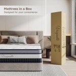 Vesgantti 11-Inch Pocket Sprung Single Mattress