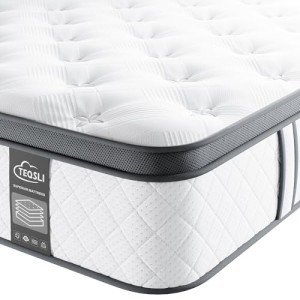 TeQsli 10" Gel Memory Foam Twin Mattress
