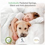 Novilla 7-Inch Gel Memory Foam Mattress - 3FT