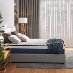 Vesgantti 10-Inch Single Hybrid Mattress