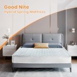 Good Nite Double Hybrid Spring and Foam Mattress