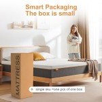OYT Double Memory Foam Mattress - 135x190x18cm